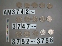 藏品(美國5分硬幣)的圖片